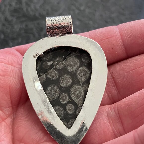 Agatized Coral Fossil Gemstone Stone Jewelry Crystal Pendant - Picture 5 of 6